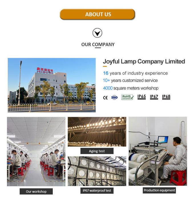 Faisceau asymétrique lumineux rectangulaire de haute qualité IP68 SS316L Lumière sous-marine Lumière de piscine LED 10