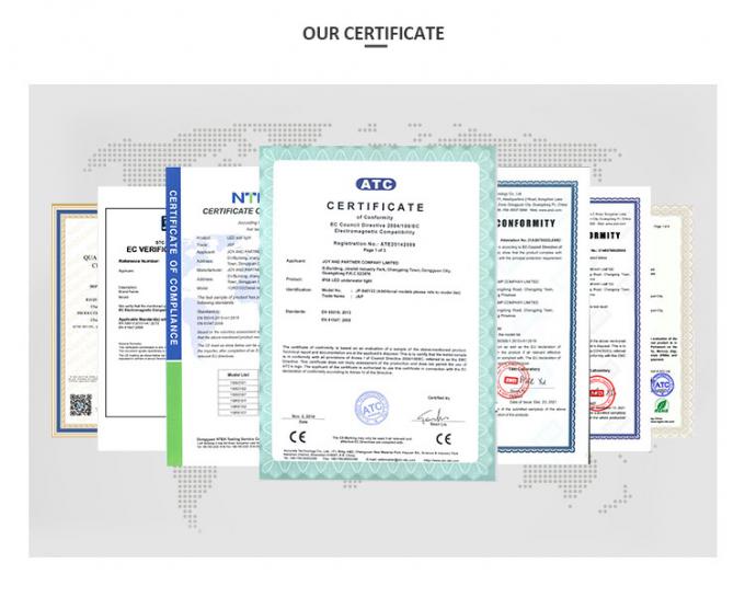 Faisceau asymétrique lumineux rectangulaire de haute qualité IP68 SS316L Lumière sous-marine Lumière de piscine LED 12