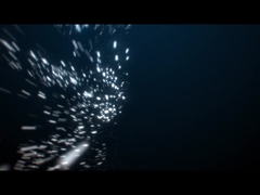 Lumières de piscine IP68 étanches Rgb Dmx SS 316