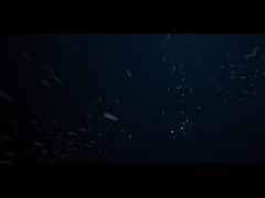 Lumière de paysage extérieure à LED IP66 10W COB