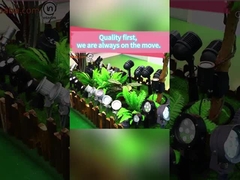 Options de personnalisation