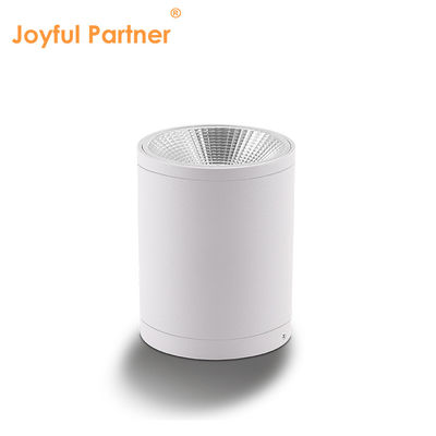 CE IP65 Lumière de plafond montée sur la surface à l'eau étanche à l'eau