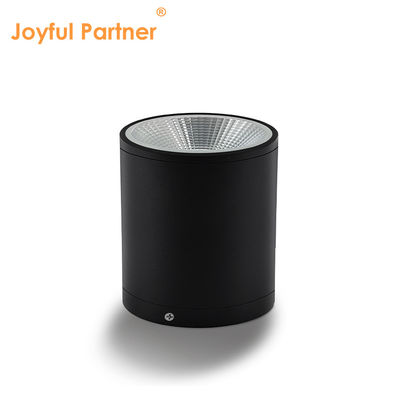 Éclairage extérieur LED pour la porte AC 220v chaud blanc et frais Matériau en aluminium blanc 15W LED Éclairage de mur COB