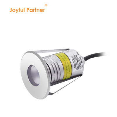 Lumière de piscine souterraine à LED mini recouverte de 1W 2W IP68 3000k 12V / 24V DC