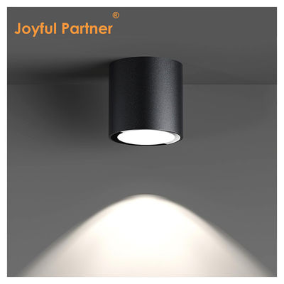 Lumière de plafond IP65 Surface montée Downlight imperméable à l'eau Spot Light 6000K Smd Blanc Led DownLight