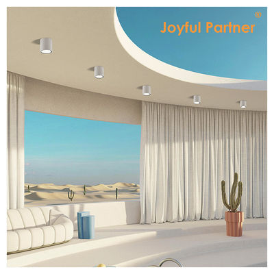 Plafond extérieur Intérieur IP65 8w Surface montée en forme de cylindre Cool Blanc 4000K LED Uplights Certificat CE ROHS