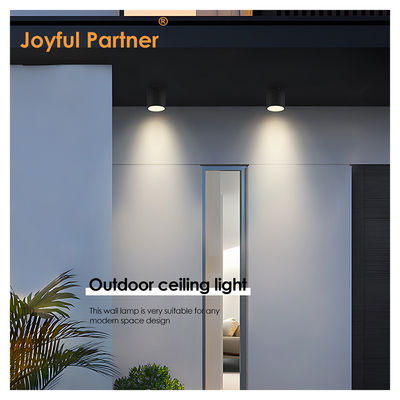 Plafond extérieur Intérieur IP65 8w Surface montée en forme de cylindre Cool Blanc 4000K LED Uplights Certificat CE ROHS
