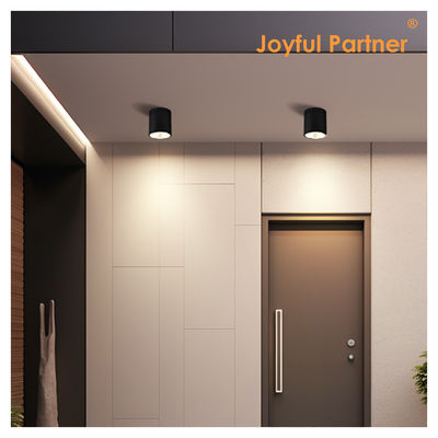 CE IP65 Lumière de plafond montée sur la surface à l'eau étanche à l'eau