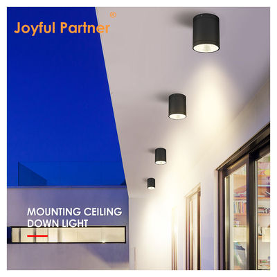 CE IP65 Lumière de plafond montée sur la surface à l'eau étanche à l'eau