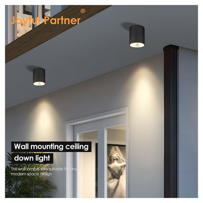CE IP65 Lumière de plafond montée sur la surface à l'eau étanche à l'eau