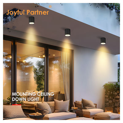 15W COB LED Downlight Cylindre Monture murale Compact Light Design Surface Fix Pour l'extérieur