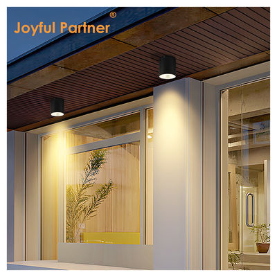 15W COB LED Downlight Cylindre Monture murale Compact Light Design Surface Fix Pour l'extérieur