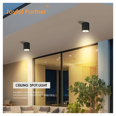 Éclairage extérieur LED pour la porte AC 220v chaud blanc et frais Matériau en aluminium blanc 15W LED Éclairage de mur COB