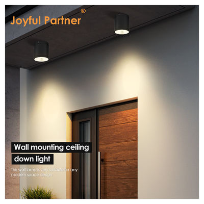 Éclairage extérieur LED pour la porte AC 220v chaud blanc et frais Matériau en aluminium blanc 15W LED Éclairage de mur COB