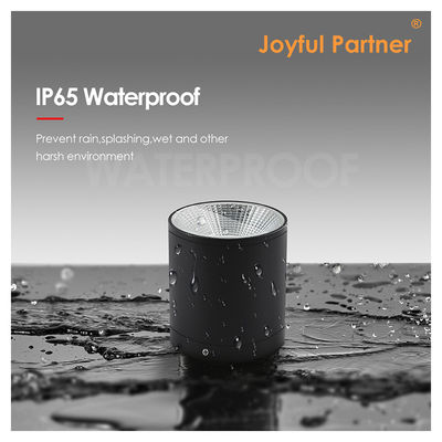 Lampe à cylindre murale extérieure Noir LED Colonne vers le bas Lampe de jardin extérieure Cree COB Led 15W 3500k