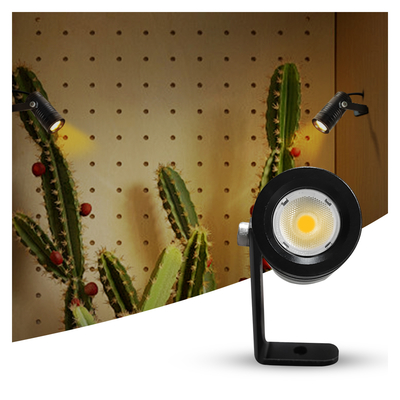 Éclairage extérieur pour le lavage de murs de paysage 1W IP65 DC24V